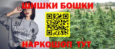 спайс Кингисепп