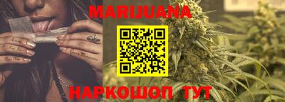 спайс Кингисепп