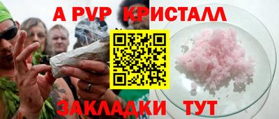 спайс Кингисепп