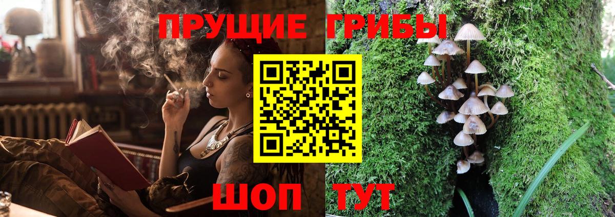Галлюциногенные грибы прущие грибы Красноуфимск